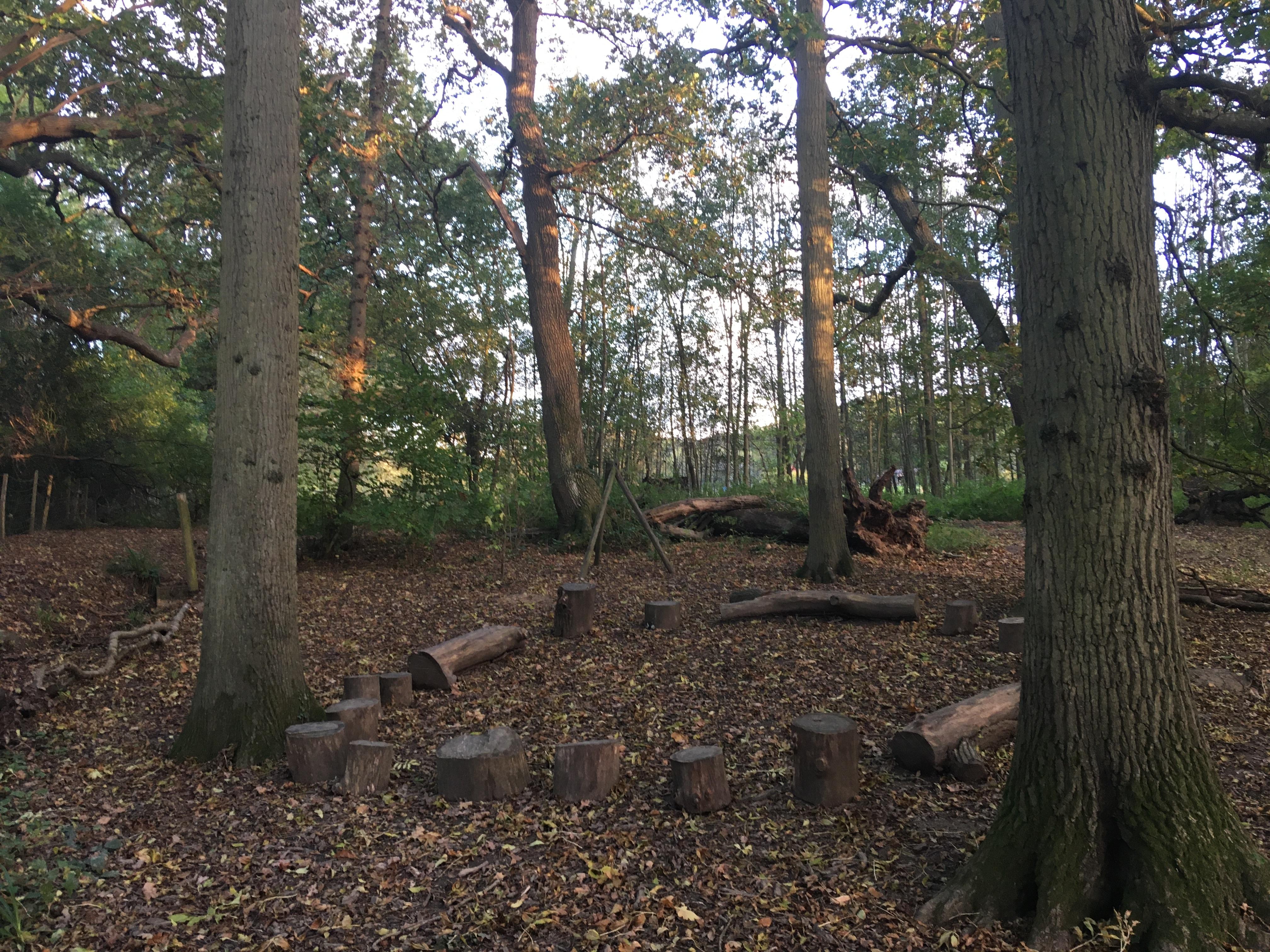 Colours of Autumn...